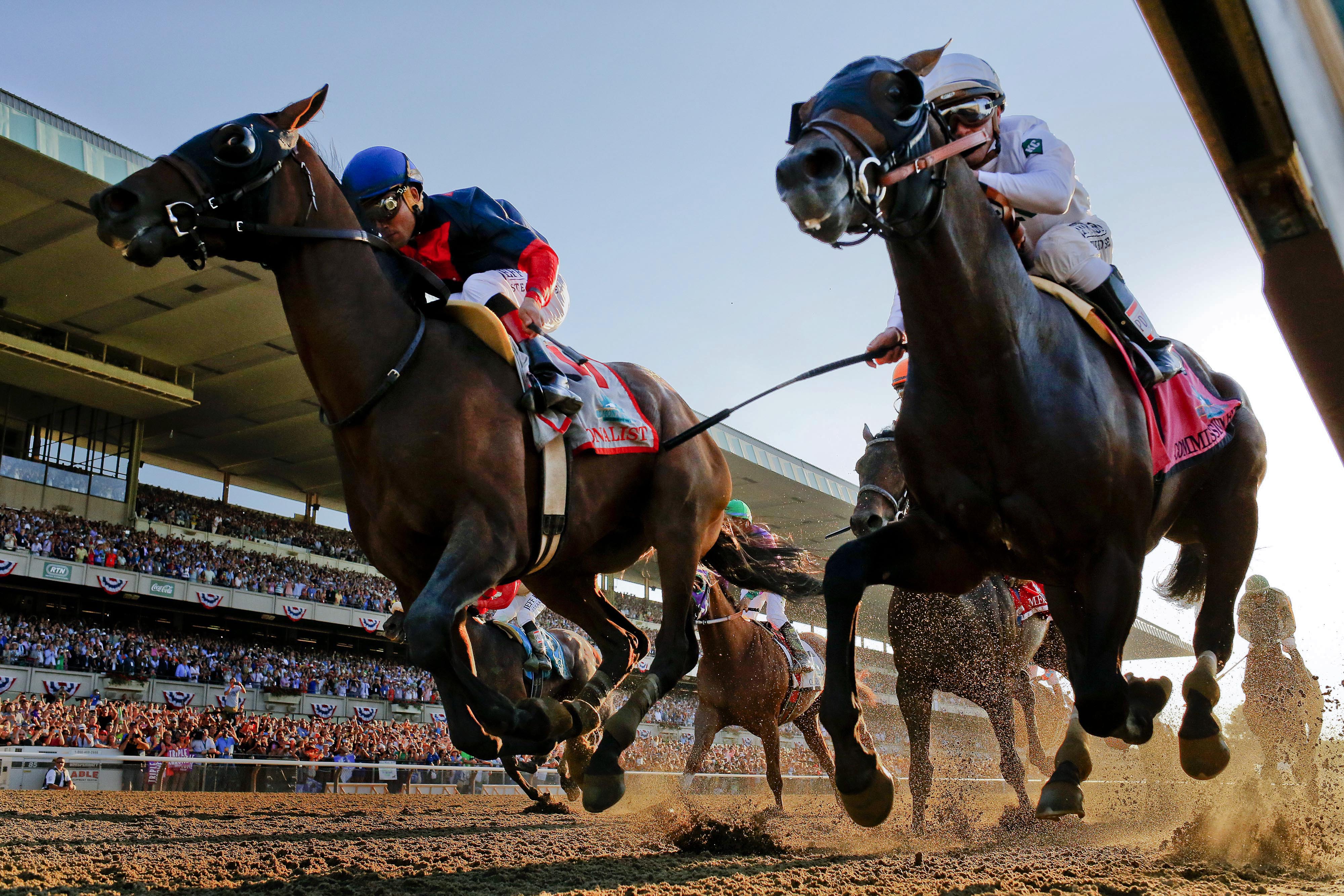 horse travel racing